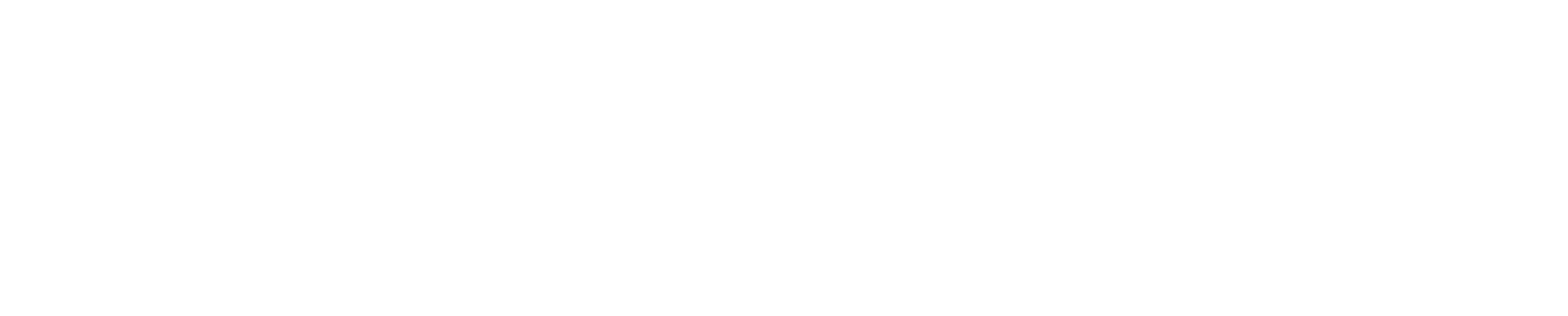 Spine and Joint Chiropractor Logo